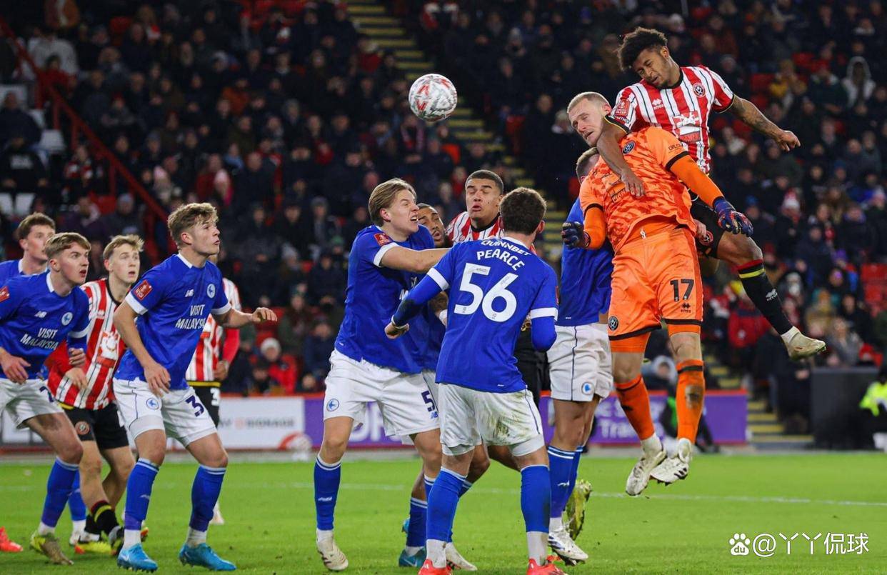 卡迪夫城客场告捷,终结桑德兰主场长不败 卡迪夫城客场告捷,终结桑德兰主场长不败