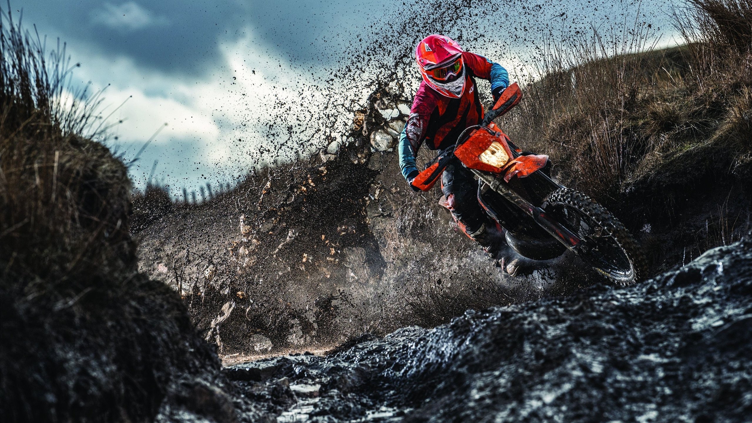 平行宇宙的篮板，当孟菲斯灰熊鏖战洛杉矶湖人，赵继伟成为X因素